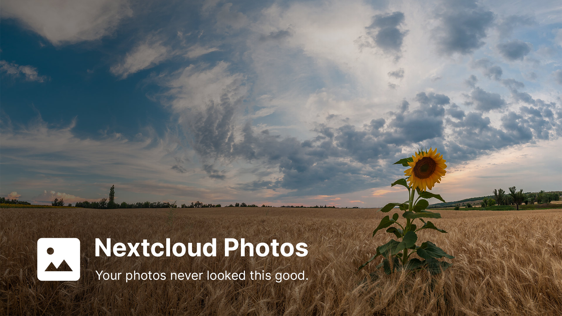 Nextcloud Photos cover