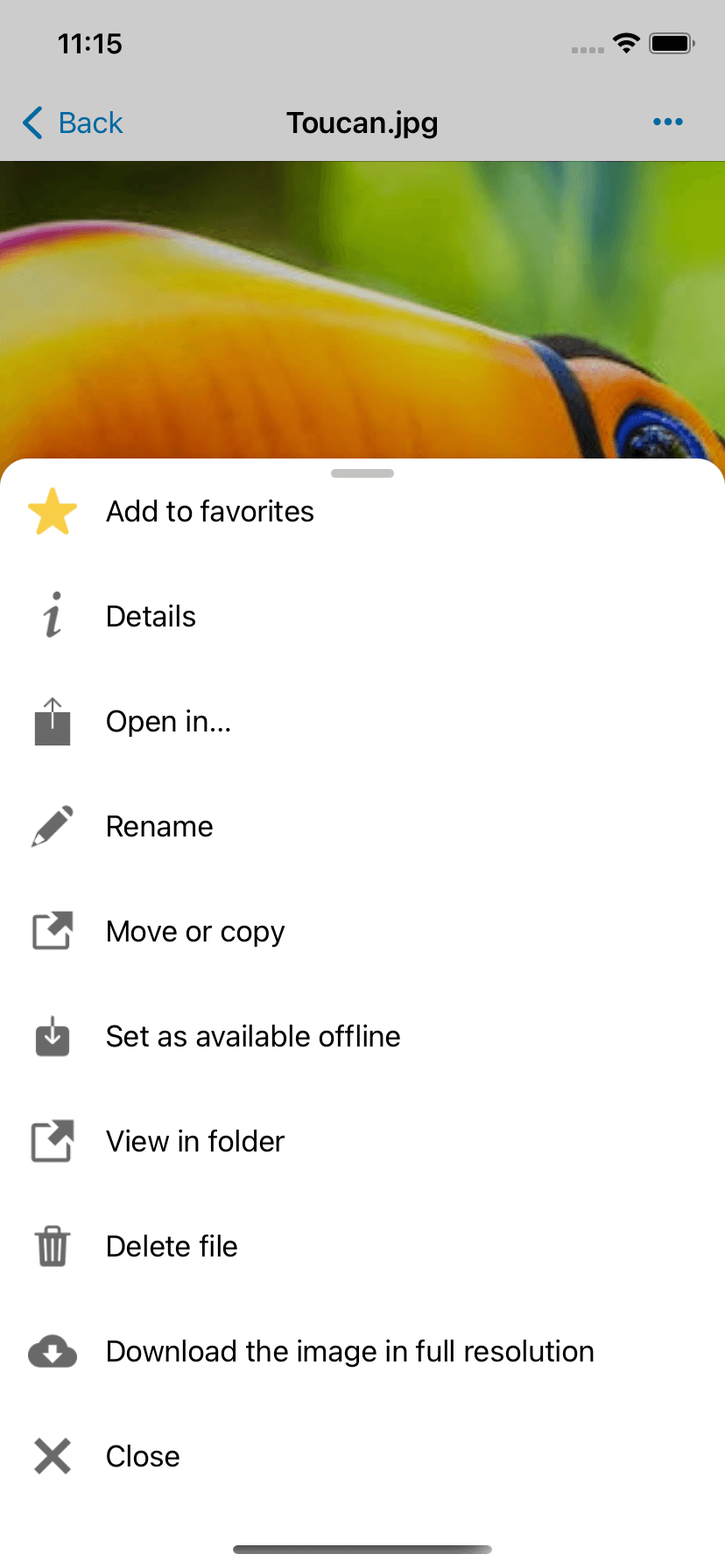 view in folder option