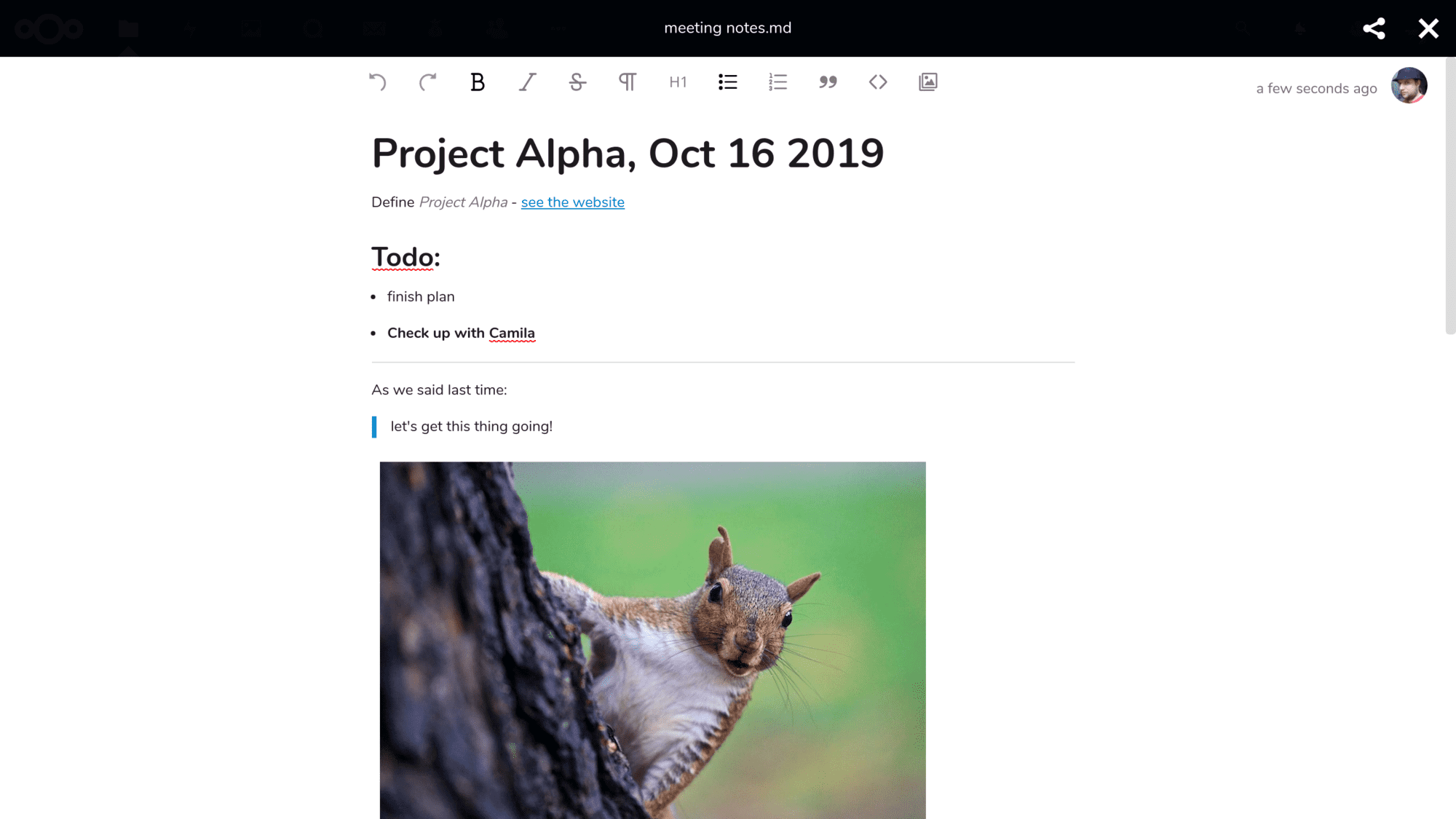 Nextcloud Text screenshot.png